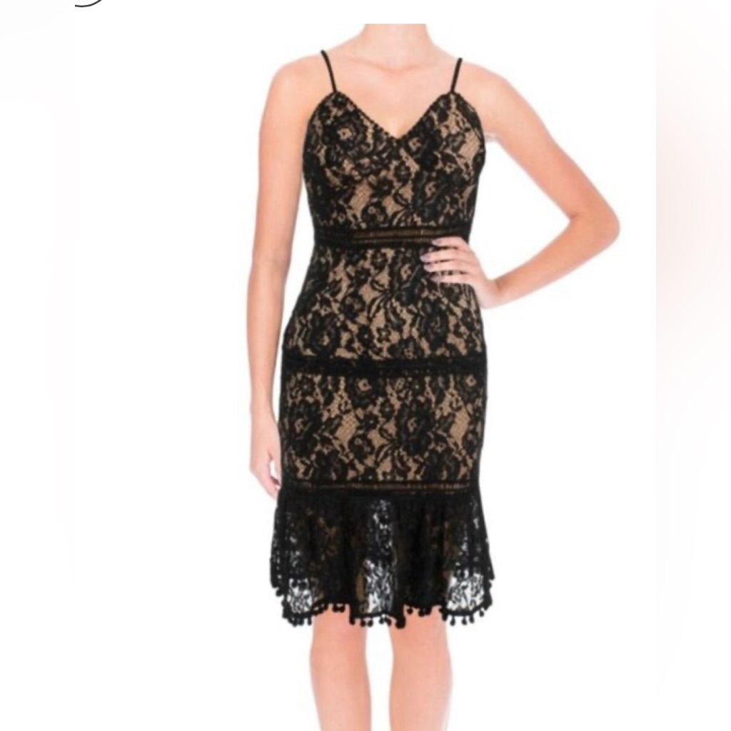 Aqua Lace Midi Dress (Like Self-Portrait Azaelea)
